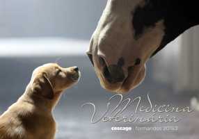 004_Medicina Veterinária