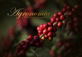 006_Agronomia