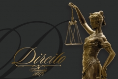 030_Direito 01