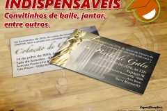 IDEÉS ANUNCIO INDISPENSÁVEL sem preço